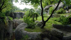 Landscapes nature Trees vegetation rocks