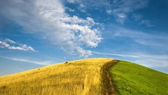 Landscapes nature Trees wall land