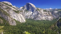 Landscapes nature Trees wall land