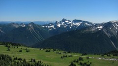 Landscapes nature Trees wall land