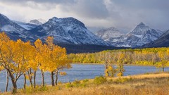 Landscapes nature Trees water