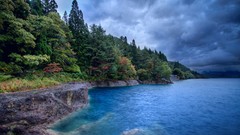 Landscapes nature Trees water