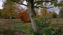 Landscapes nature Trees water