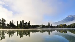 Landscapes nature Trees water