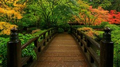 Landscapes nature Trees water autumn Garden colors Wood Zen 