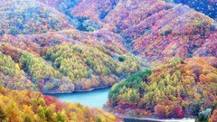 Landscapes nature Trees water autumn hills Japan morning colors 