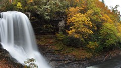 Landscapes nature Trees water autumn rivers forests