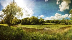 Landscapes nature Trees water Birds Earth sunny lakes