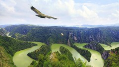 Landscapes nature Trees water Birds rivers forests skyscapes