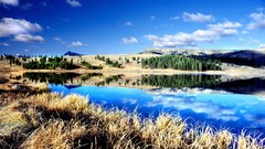 Landscapes nature Trees water blue clouds hills Green lakes 