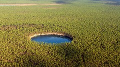 Landscapes nature Trees water blue Green Holes circles Bahamas 