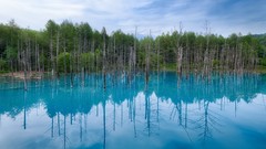 Landscapes nature Trees water blue Japan Hokkaido