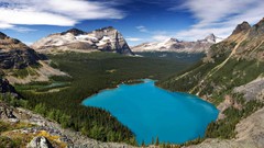 Landscapes nature Trees water blue Mountains white Green Canada 