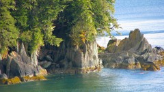 Landscapes nature Trees water blue ocean Green rocks Beaches