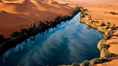 Landscapes nature Trees water blue red Plants dunes oasis palm 