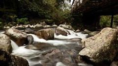 Landscapes nature Trees water Bridges rocks rivers forests