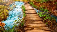 Landscapes nature Trees water Bridges tropical HDR Photography