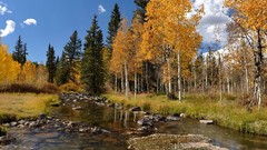 Landscapes nature Trees water clouds autumn reflections skylines