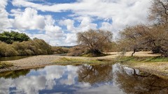 Landscapes nature Trees water clouds calm chile rivers skies