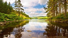 Landscapes nature Trees water clouds coast transparent Wood