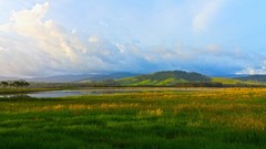 Landscapes nature Trees water clouds hills lakes skylines