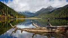 Landscapes nature Trees water clouds lakes forests