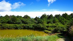 Landscapes nature Trees water clouds lakes path sunlight skies