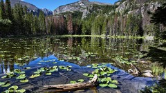 Landscapes nature Trees water clouds lakes reflections forests 
