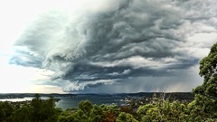 Landscapes nature Trees water clouds ocean storm bay Sydney 