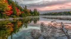 Landscapes nature Trees water clouds red Green calm lakes 