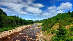 Landscapes nature Trees water clouds rivers forests skylines