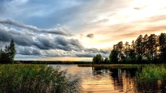 Landscapes nature Trees water clouds summer watercolor reeds 