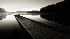 Landscapes nature Trees water coast lakes