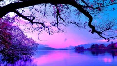 Landscapes nature Trees water colors