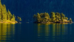 Landscapes nature Trees water Earth reflections