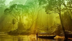Landscapes nature Trees water fishing Boats mist rivers dawning 
