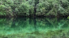 Landscapes nature Trees water Green calm Turquoise croatia 