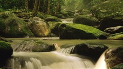 Landscapes nature Trees water Green cliffs wet rocks wildlife 