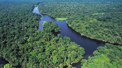 Landscapes nature Trees water Green jungle national park rivers 