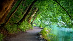 Landscapes nature Trees water Green lakes paths plitvice