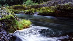 Landscapes nature Trees water Green moss cliffs wet rocks 