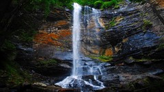Landscapes nature Trees water Green moss waterfalls rocks falls 