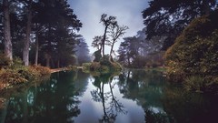 Landscapes nature Trees water Green Park gate San Francisco 