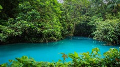 Landscapes nature Trees water Green Plants jungle Turquoise 