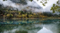 Landscapes nature Trees water hills China morning lakes 