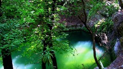 Landscapes nature Trees water hills Green lagoon valleys