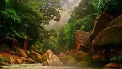 Landscapes nature Trees water hills Green moss rocks Rio rivers 