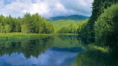 Landscapes nature Trees water hills surface