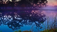 Landscapes nature Trees water lakes