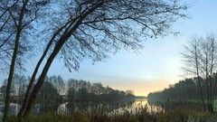 Landscapes nature Trees water lakes reflections skylines